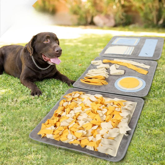 SniffN’Slow™ Puzzle Mat