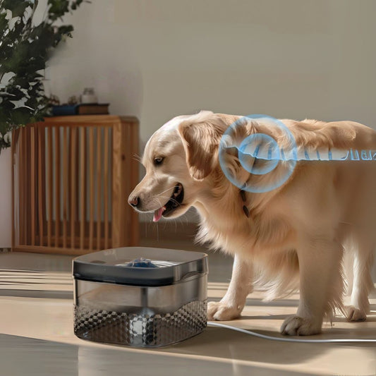 HydroHaven™ Pet Dispenser